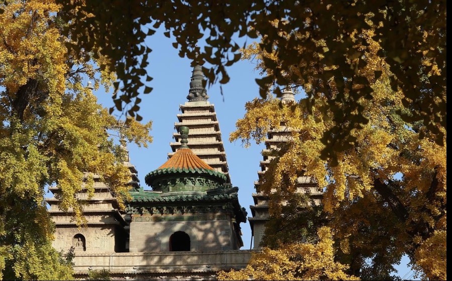 Five pagodas of Zhenjue Temple framed by autumn trees in Beijing